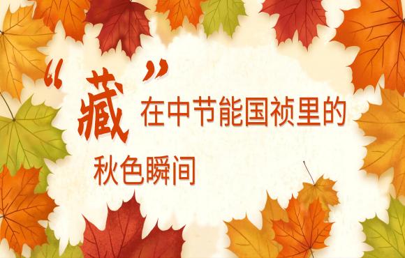 四时国祯丨“藏”在LETOU乐投里的秋色瞬间